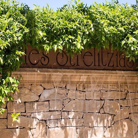 The Originals Residence, Les Strelitzias Juan-les-Pins Bagian luar foto